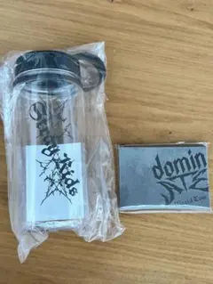 Stray Kids domin ATE アップグレード席グッズ