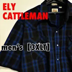 F833【ELY CATTLEMAN】半袖シャツ【3XLT】