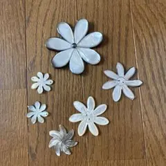タヒチアン　シェルパーツ