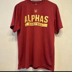 越谷アルファーズ・'２４―'２５シーズン応援Ｔシャツ／フリーサイズ(ＬＬ寸)