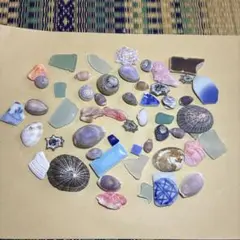 【501】シーグラス　マツバガイ　タカラガイ　ウノアシ　巻貝　シー陶器　ミニ　赤