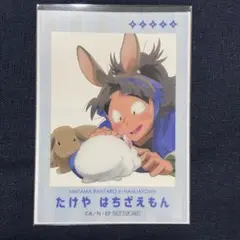 【匿名配送】忍たま乱太郎 ナンジャ たまご探し クリアカード 竹谷八左ヱ門
