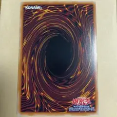 専用