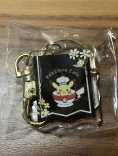 ポケモンカフェ アクリルキーホルダー 6番 ヌメラ ゴクリン 旗 ロゴ 未開封