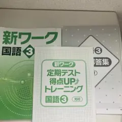 ⭐️美品⭐️新ワーク 国語 3年 東京書籍 塾用テキスト　光村　受験