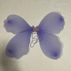 蝶々の羽