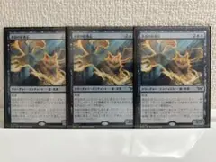 mtg 永劫の好奇心　日本語3枚　非foil