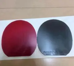 ディグニクス05 09c 2枚セット