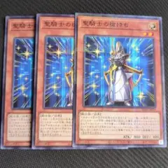 聖騎士の槍持ち ノーパラ3枚