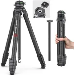 Item thumbnail for item 591f9e13-a1ad-4b37-9b00-8836f77fa9f9