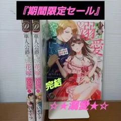 乙女ドルチェ＊コミックス ☆★溺愛★☆
