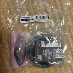 いきもの大図鑑アドバンス　テントウムシ　カメノコテントウ