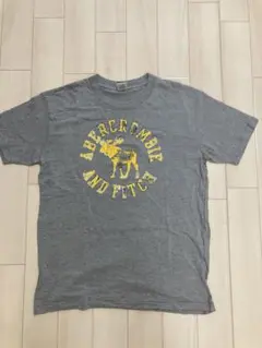Abercrombie & Fitch Tシャツ Lサイズ