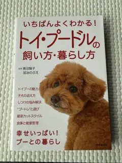 Item thumbnail for item 48237508-3c57-4319-9a58-3f03e881ac4a