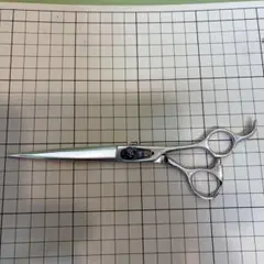 Item thumbnail for item 2b39fd51-378b-47f1-a52c-8a95ee530d88