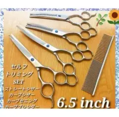 Item thumbnail for item 6eb35487-acc2-4064-b24d-4f84f7a951f9