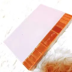 Item thumbnail for item 8e8c3e57-0ad4-4083-9fcb-9e08172f75b7