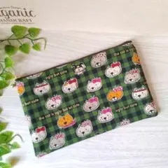 ポケット付きフラットポーチ ブサかわ猫柄グリーン