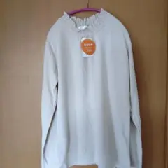 Item thumbnail for item e972833b-9eed-4b46-bfd3-e4d39593fae0