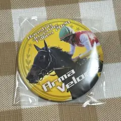 ノーザンホースパーク　モバガチャ　アルマヴェローチェ