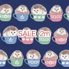 SALE 2m ハリネズミ ネイビー オックス