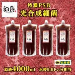 【免疫強化水質浄化】4倍濃縮 光合成細菌(PSB)4.0L クロレラ好相性C