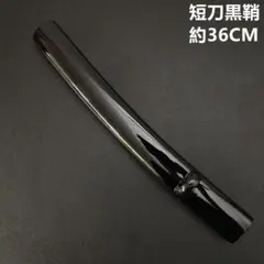 Item thumbnail for item 94ae066a-6ab9-4b53-aa50-4a004fede711