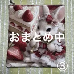 パネルポーチ　うさぎ苺cake ③