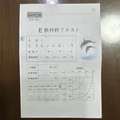 公文　算数E教材終了テスト