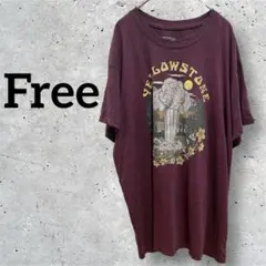 NationalParkFoundation【フリーサイズ】Tシャツ　国立公園