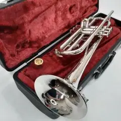 2025年最新】YAMAHA YTR1310の人気アイテム - メルカリ