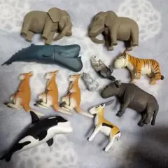 シャクレ動物いろいろ