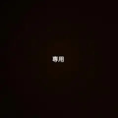 専用