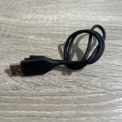 GoPro USB充電ケーブル 黒　純正
