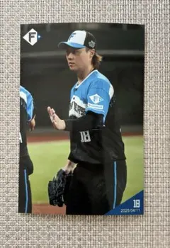 山﨑福也 ハイライトフォト