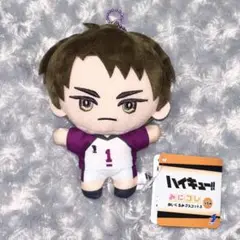 ハイキュー‼︎ みにコレ ぬいぐるみマスコット 3 牛島若利