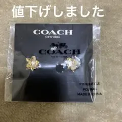 coachピアス