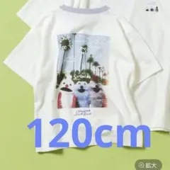 パペットスンスン✖️グローバルワークのTシャツ120cm新品未開封