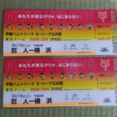 東京ドーム観戦チケット9月18日　DeNA戦　ペアチケット 東京ドーム観戦チケット9月18日　DeNA戦　ペアチケット