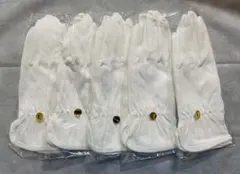 Item thumbnail for item cdf235df-7abd-4562-a258-5ea484e1fdba