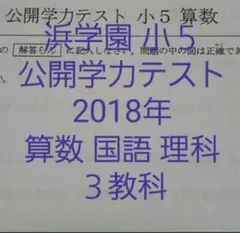 浜学園 2018年 公開学力テスト 3教科