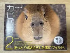 匿名配送　カピバラ 2
