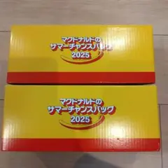 マクドナルド サマーチャンスバッグ2025 2個セット