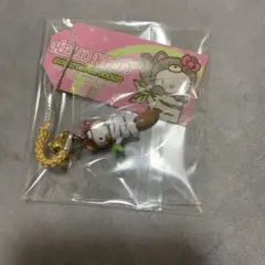 ご当地キティ mountain meadows 2005