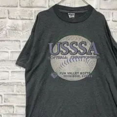 USA製90sヴィンテージTシャツ！シングルステッチ　グレー半袖古着　L 17