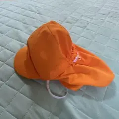 ä¿è²åïŒå¹Œçšåçšåžœå(ãªã¬ã³ãž)