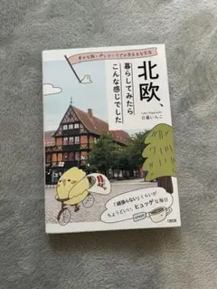 【美品】北欧、暮らしてみたらこんな感じでした