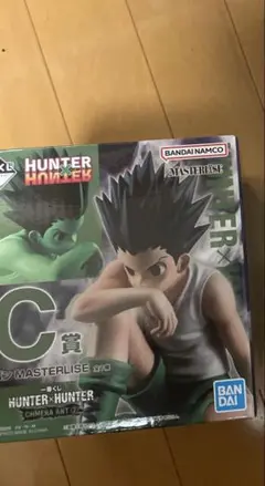 HUNTER x HUNTER ゴン MASTERLISE C賞