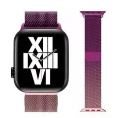 Apple Watch用メッシュバンド