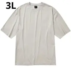 ワークマン workman 持続冷感-1℃コットンオーバーサイズ5分袖Tシャツ②